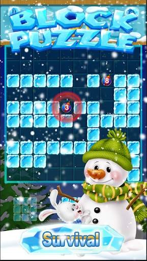 New Ice Block Puzzle Game 2020 screenshot 3