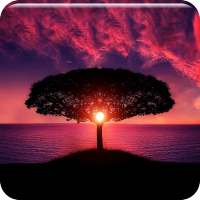 Nature Ringtones Free on 9Apps