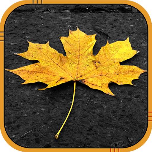 Autumn Live Wallpaper 7.1