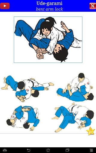 Judo in brief screenshot 23