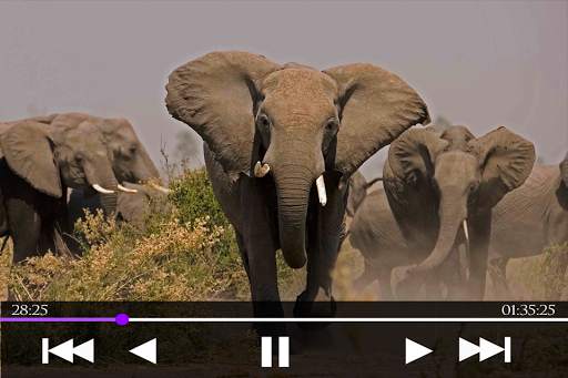 Video Player screenshot 2