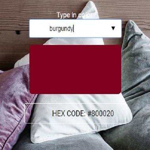 Text To Colour App screenshot 1