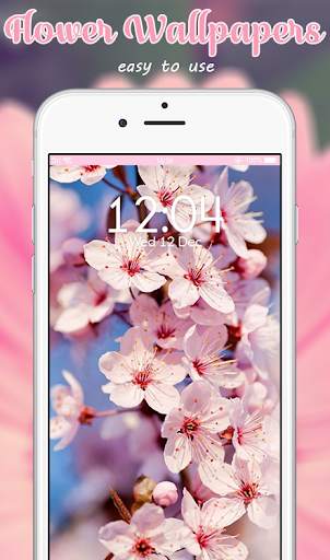 Flower Wallpapers and Backgrounds screenshot 6