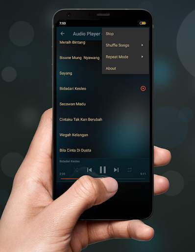 Mp3 Dangdut Koplo Offline screenshot 8