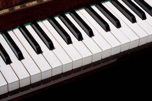 Learning to play the piano screenshot 1