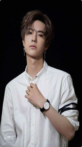 Wang Yibo Wallpapers скриншот 4