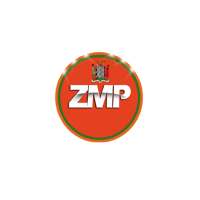 Zambian Music Promos logo