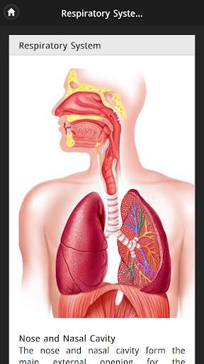 Human Body Free Offline screenshot 3