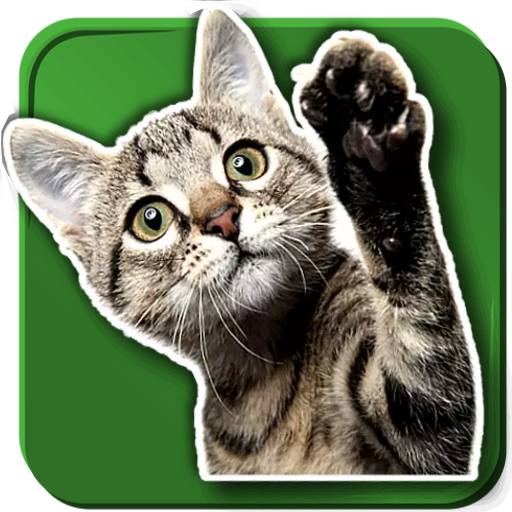 WASticker Cats icon