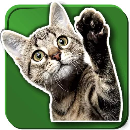 WASticker Cats 2