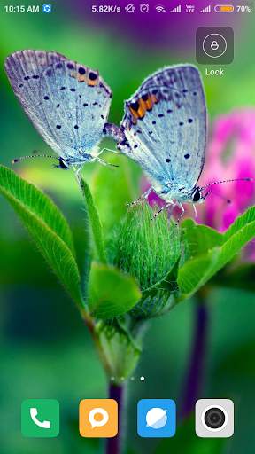 Butterfly wallpaper screenshot 2
