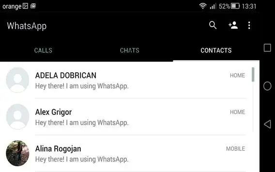 Whatsaap color themes screenshot 3