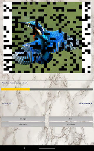 Foto Quiz screenshot 6