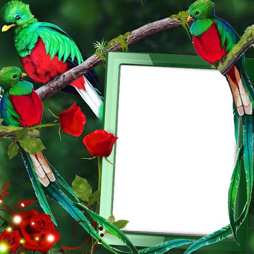Quetzal Insta DP screenshot 1