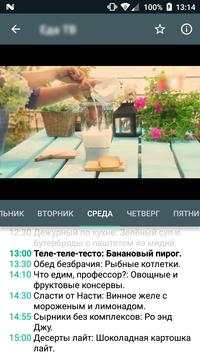 Viks TV screenshot 3