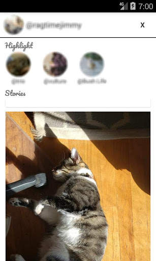 StorySaver - Instagram Story Highlight Downloader screenshot 4