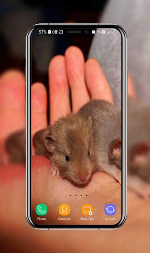 Cute Hamster Wallpaper screenshot 6