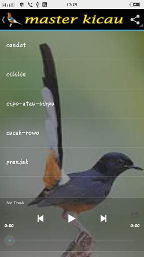 Master Birds song स्क्रीनशॉट 5