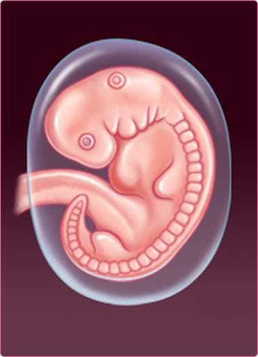 My pregnancy screenshot 5