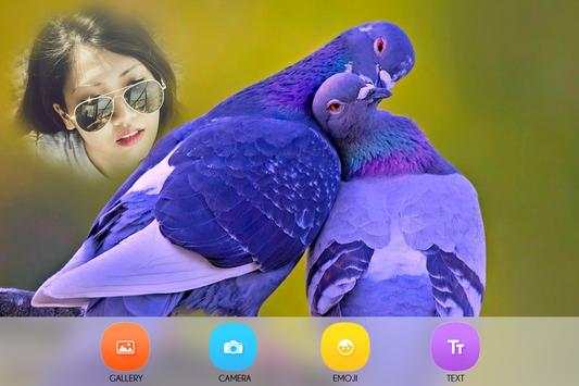 Birds Photo Frames screenshot 2