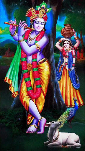Radhe Krishna HD Wallpaper - Krishna HD Wallpaper screenshot 8