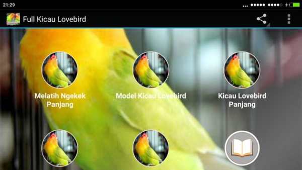 Chirping of Lovebird screenshot 4