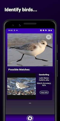 Bird Identifier - Find That Bird! स्क्रीनशॉट 2