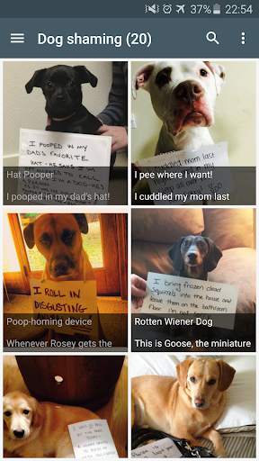 Cute funny puppy & cat photos screenshot 5