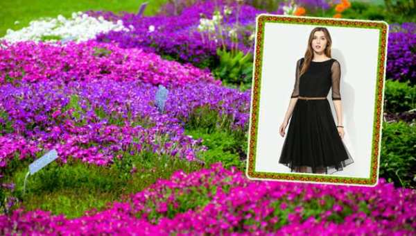 Garden Photo Frames 7 تصوير الشاشة