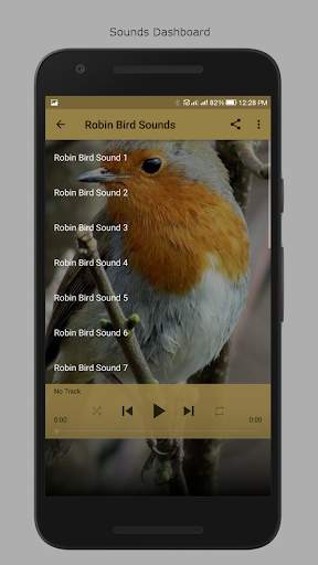 Robin Bird Sounds screenshot 2
