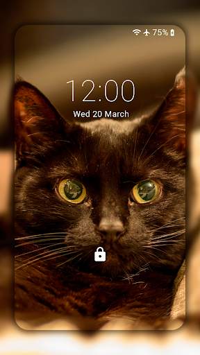 Black Cat Wallpaper Full HD (backgrounds & themes) screenshot 2