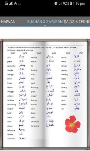 Cari Kata Jawi screenshot 4