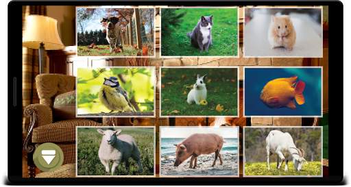 Animal Sounds screenshot 5