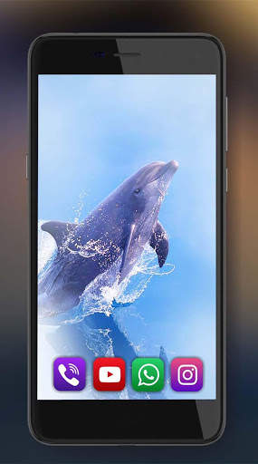 Dolphins Live Wallpaper screenshot 5