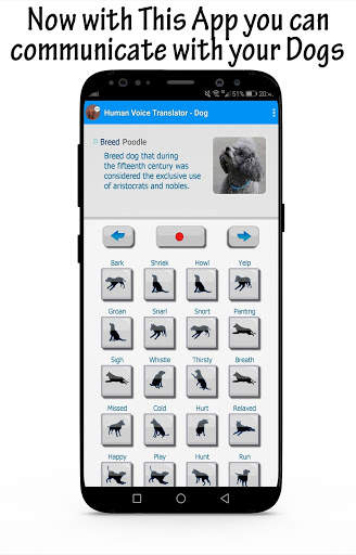 Bark Translator : How to understand your dog screenshot 2