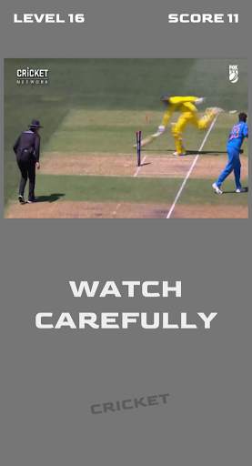 Cricket OUT or NOT screenshot 1