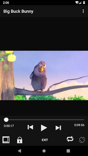 Lettore video screenshot 5