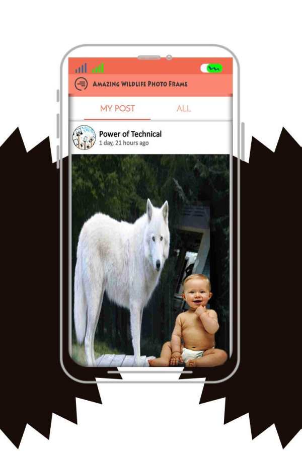 Amazing Wildlife Photo Frame screenshot 5