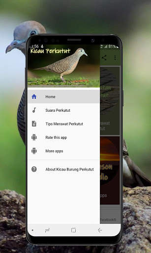 Kicau Burung Perkutut Offline screenshot 3