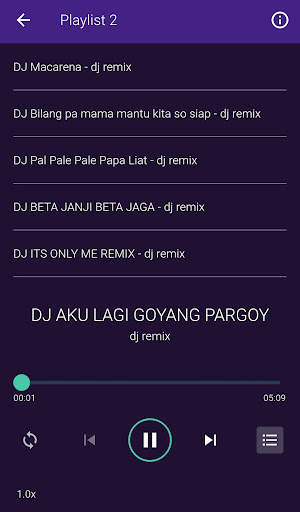 DJ Salting Slow Remix Viral screenshot 4