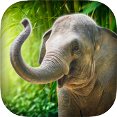 Real Talking Elephant أيقونة
