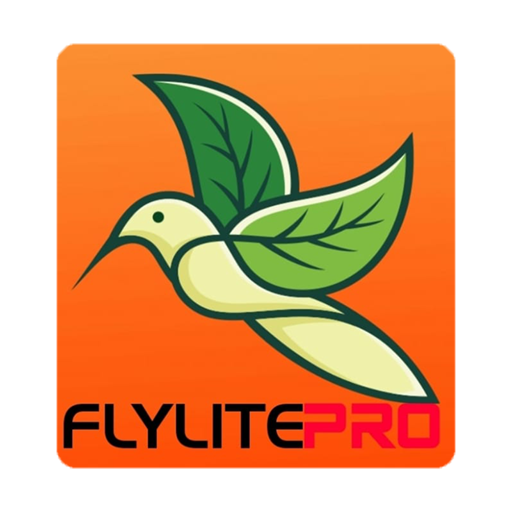 Fly VPN icon