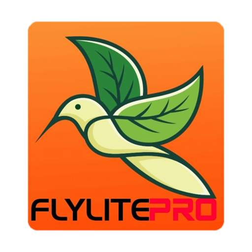Fly VPN screenshot 1