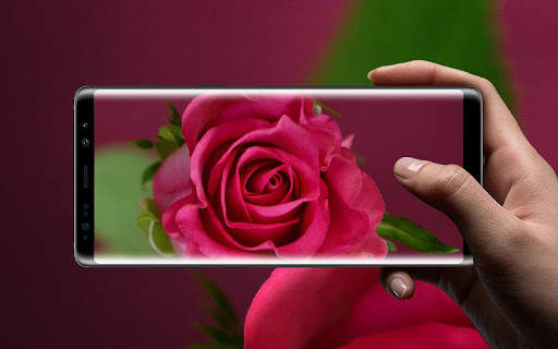 Beautiful Rose Free Live Wallpaper screenshot 13