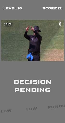 Cricket OUT or NOT screenshot 4