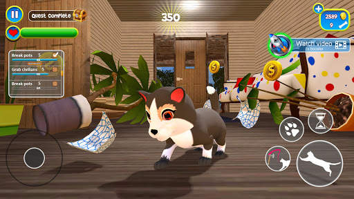 Virtual Cat Simulator : Cute Kitty screenshot 3