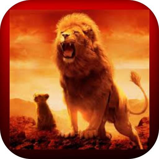 lion king 1