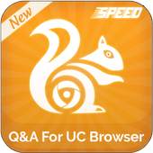 Q&A 1.1