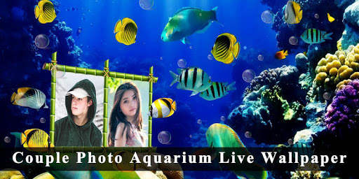 Couple Photo Aquarium Live Wallpaper 2020 2 تصوير الشاشة