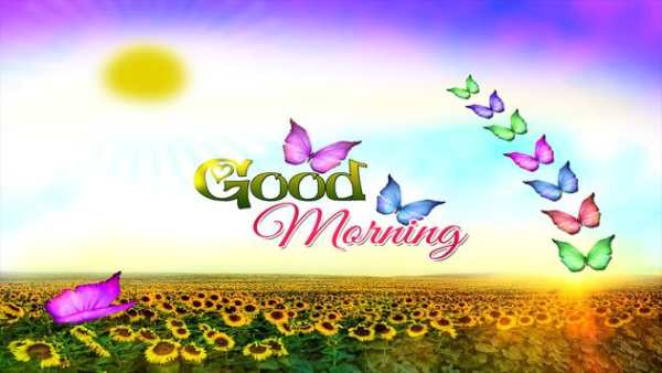 Good Morning Image screenshot 11